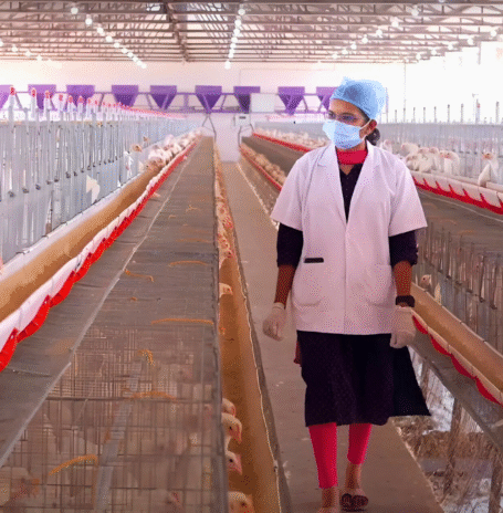 Rasi Foods, Rasi eggs export